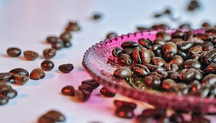 Sejarah Kopi Robusta sebagai Pilar Utama dalam Industri Kuliner Global