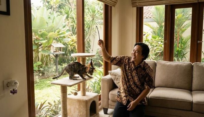 7 Cara Atasi Kucing yang Terus Garuk Sofa agar Rumah Tetap Rapi