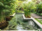 9 Model Kolam Ternak Lele dan Taman Air untuk Budidaya yang Estetik
