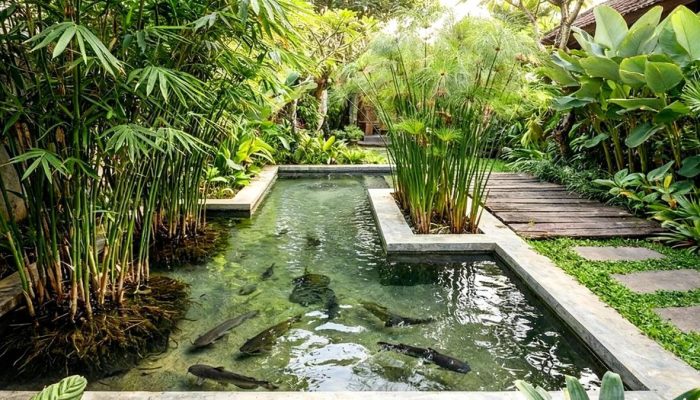 9 Model Kolam Ternak Lele dan Taman Air untuk Budidaya yang Estetik