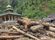 Aparat Didesak Proses Hukum 28 Perusahaan Selain Cabut Izin