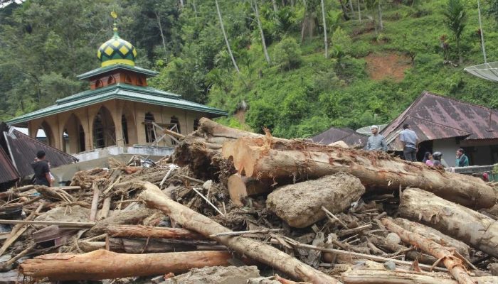Aparat Didesak Proses Hukum 28 Perusahaan Selain Cabut Izin