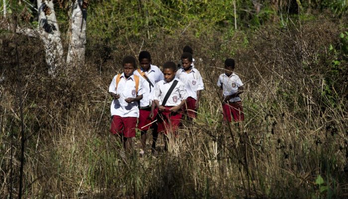 Usulan Revisi UU Otonomi Khusus dari Gubernur Papua Selatan