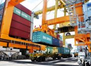 Tarif Ekspor Tongkol dan Tuna ke Jepang 0 Persen dan Syarat Pengajuannya