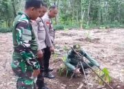 Temuan Jejak Diduga Harimau Buat Resah Warga Lampung Timur, Ini Penjelasan BKSDA