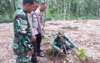Temuan Jejak Diduga Harimau Buat Resah Warga Lampung Timur, Ini Penjelasan BKSDA