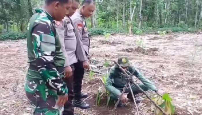 Temuan Jejak Diduga Harimau Buat Resah Warga Lampung Timur, Ini Penjelasan BKSDA