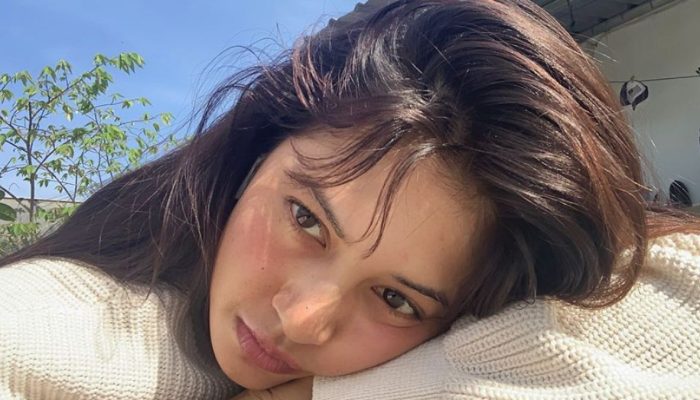 Lembaga Negara Soroti Isu Child Grooming Terkait Buku Aurelie