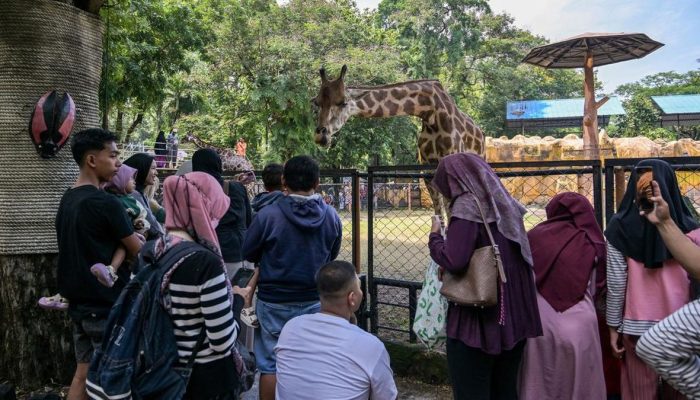 Kebun Binatang Surabaya Masih Beroperasi Setelah Digeledah Kejati Jatim